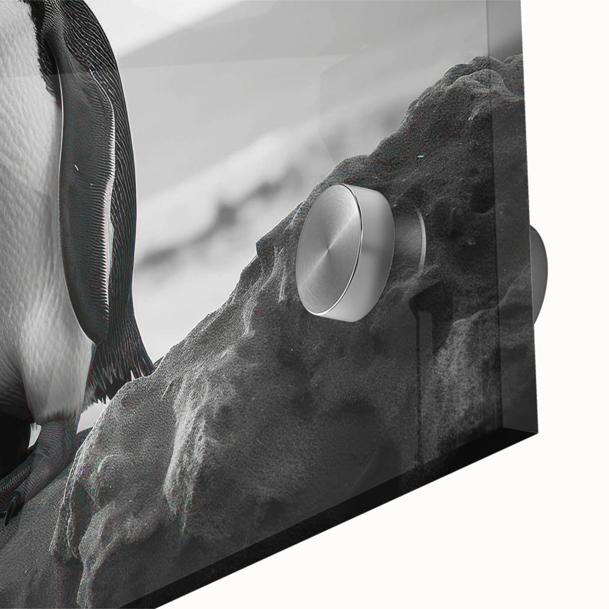 Close-up view of a vibrant penguin wall art design on acrylic glass, showcasing detailed textures and colors, ideal for wildlife-themed decor in modern interiors.