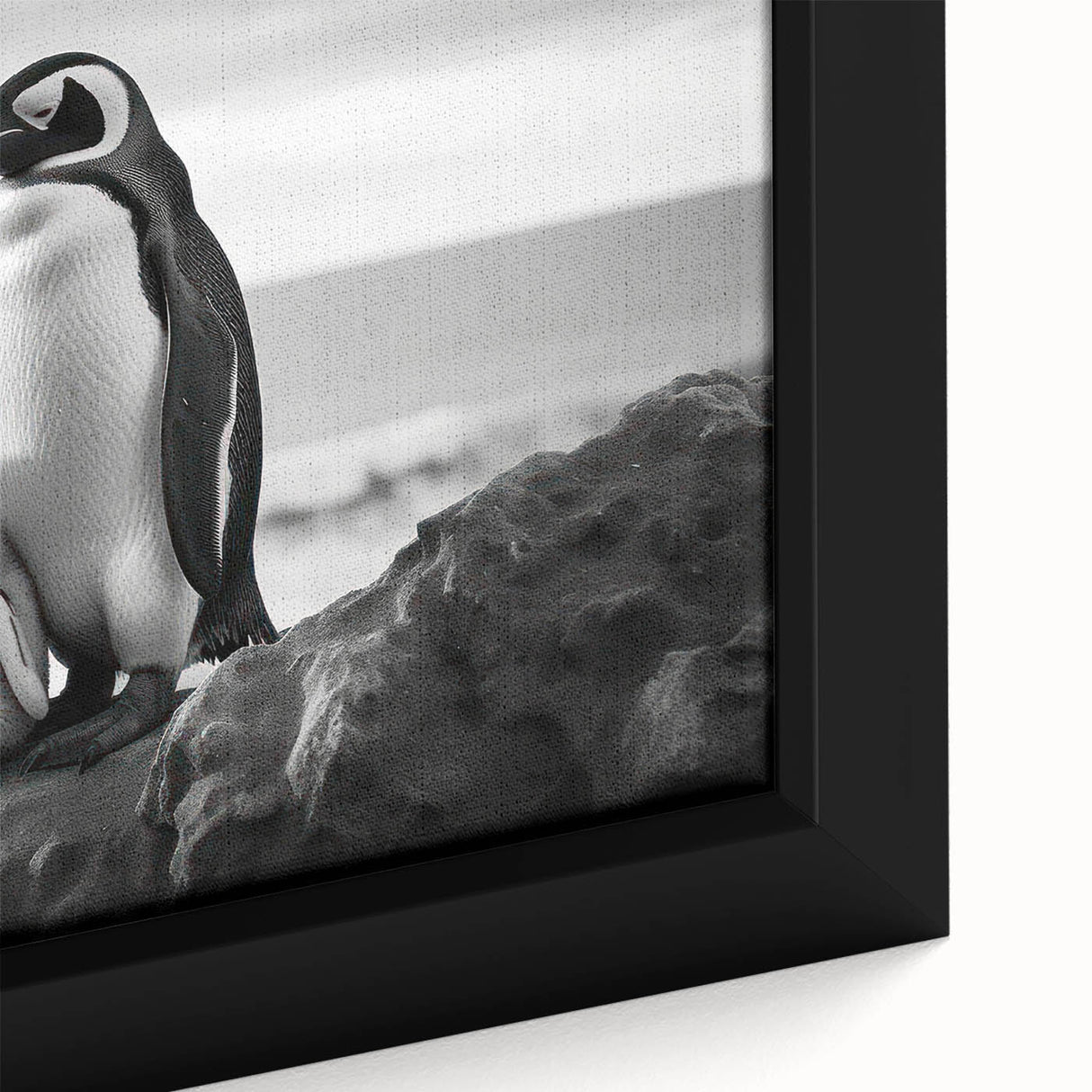 Close-up of a framed canvas wall art piece featuring a vibrant penguin design, showcasing detailed textures and colors, perfect for animal lovers and home decor enthusiasts.