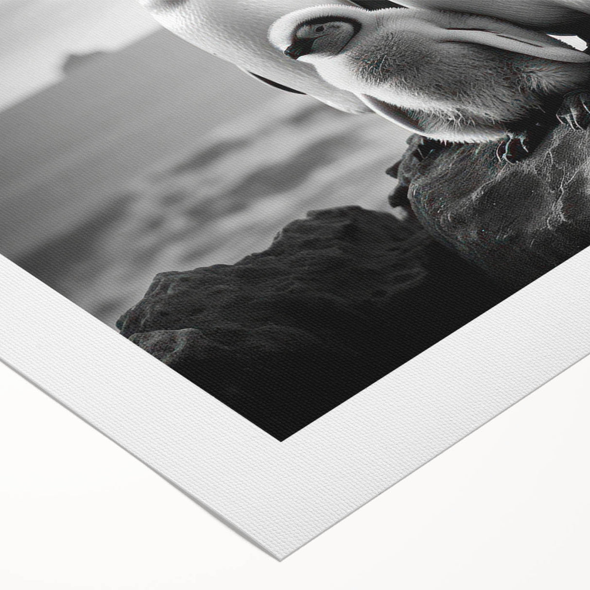 Rolled canvas print showcasing a vibrant penguin design, emphasizing wildlife art with rich colors and details, ideal for nature lovers' decor.