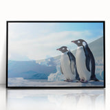 Framed wall art featuring a vibrant penguin design, showcasing the animal's playful nature against a black background, perfect for wildlife enthusiasts and home decor.