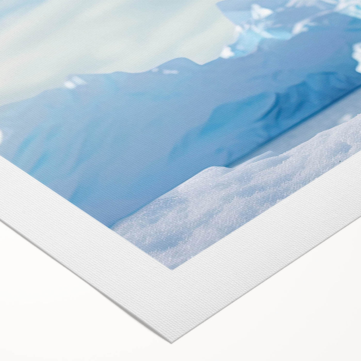 Colorful rolled canvas wall art showcasing a penguin design from the "Animals: A Wild Life" collection, perfect for adding a whimsical touch to home decor.