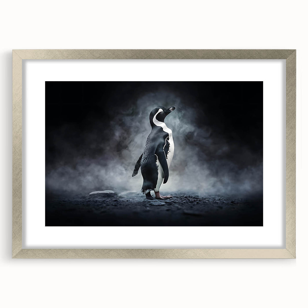 Framed wall art featuring a stylish penguin design from the Animals A Wild Life collection, presented in a sleek silver frame with a white mat, perfect for modern decor.
