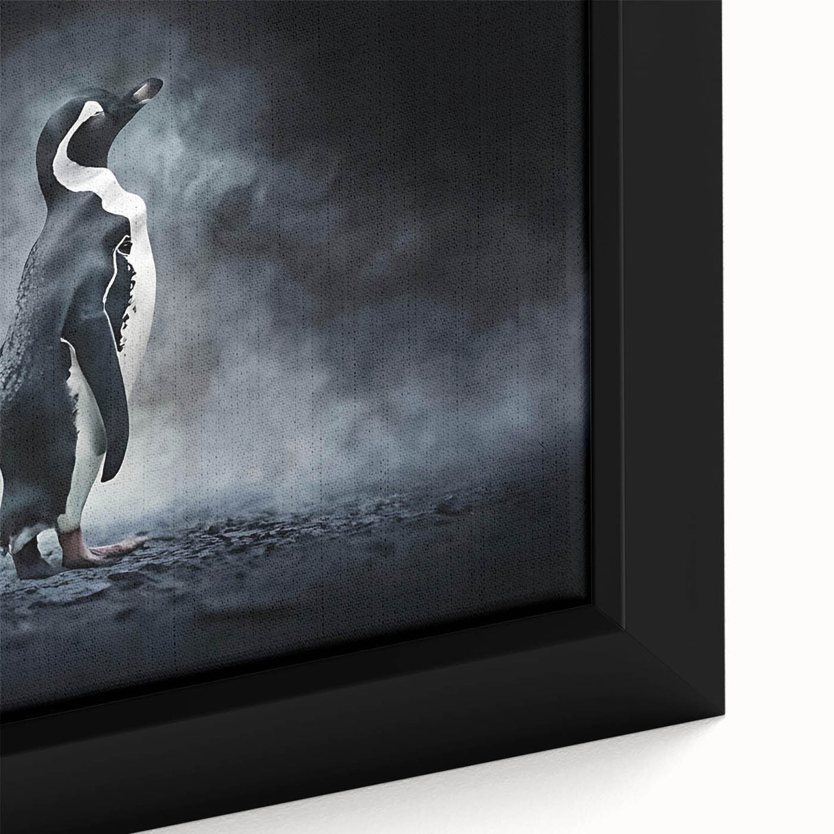 Close-up of a framed canvas wall art featuring a vibrant penguin design, showcasing intricate details and bold colors, perfect for animal lovers and modern decor.