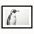 Framed wall art collection featuring a vibrant penguin design on a black mat, showcasing wildlife aesthetics suitable for modern home decor.