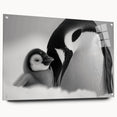 Side view of a penguin-themed acrylic wall art piece showcasing vibrant colors and intricate design details, elegantly displayed with pins for easy mounting. Ideal for animal lovers and modern decor enthusiasts.