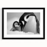 Framed wall art showcasing a charming penguin design from the Animals & Wildlife collection, featuring a sleek black frame and white mat, ideal for modern decor.