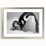 Framed wall art depicting a playful penguin design, featuring a sleek silver frame and mat, perfect for enhancing modern decor with a touch of wildlife charm.