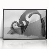 Framed acrylic wall art featuring a striking penguin design, showcasing vibrant colors against a black background, perfect for wildlife enthusiasts and modern decor.
