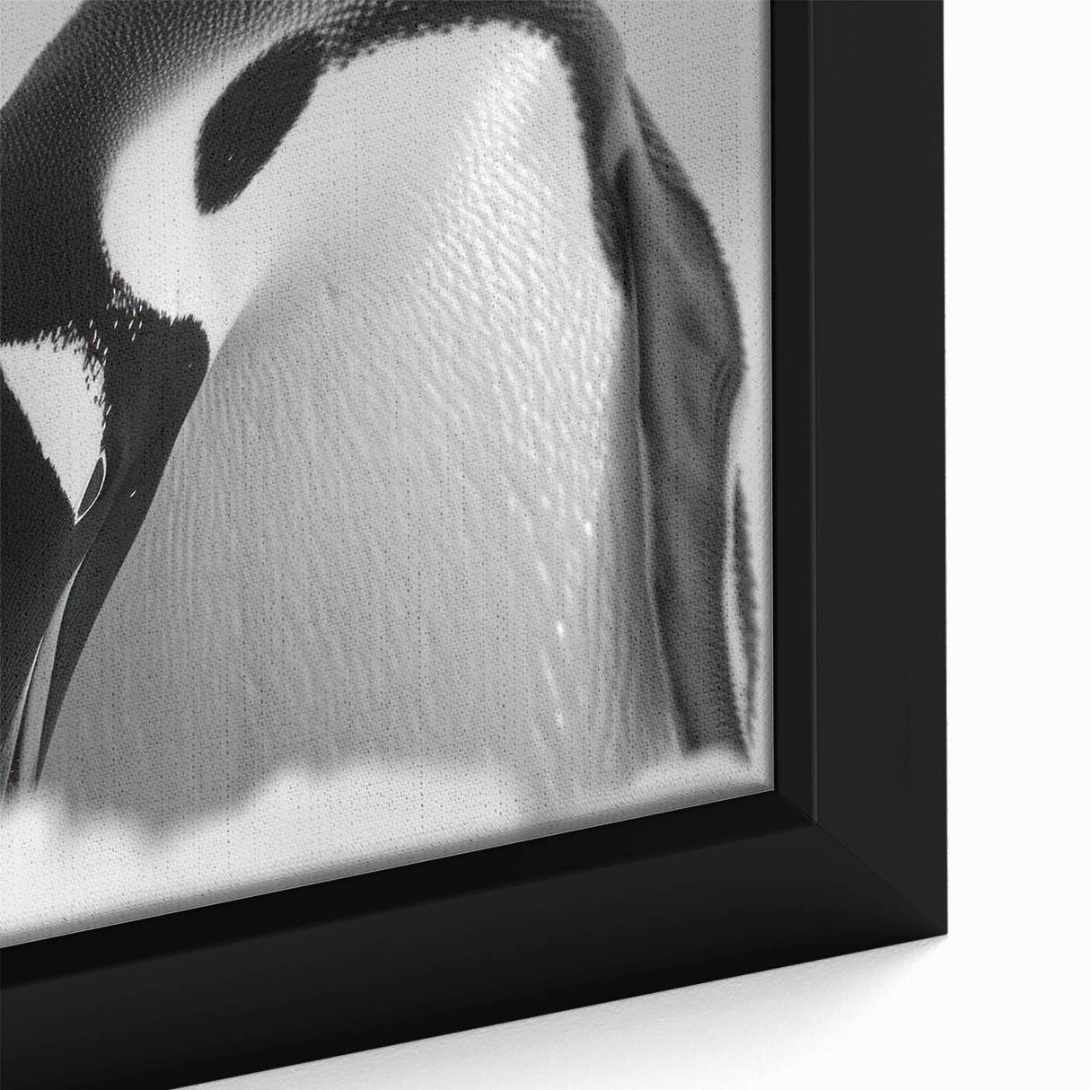 Close-up of a framed canvas wall art featuring a vibrant penguin design, showcasing intricate details and colors, perfect for animal lovers and home decor.