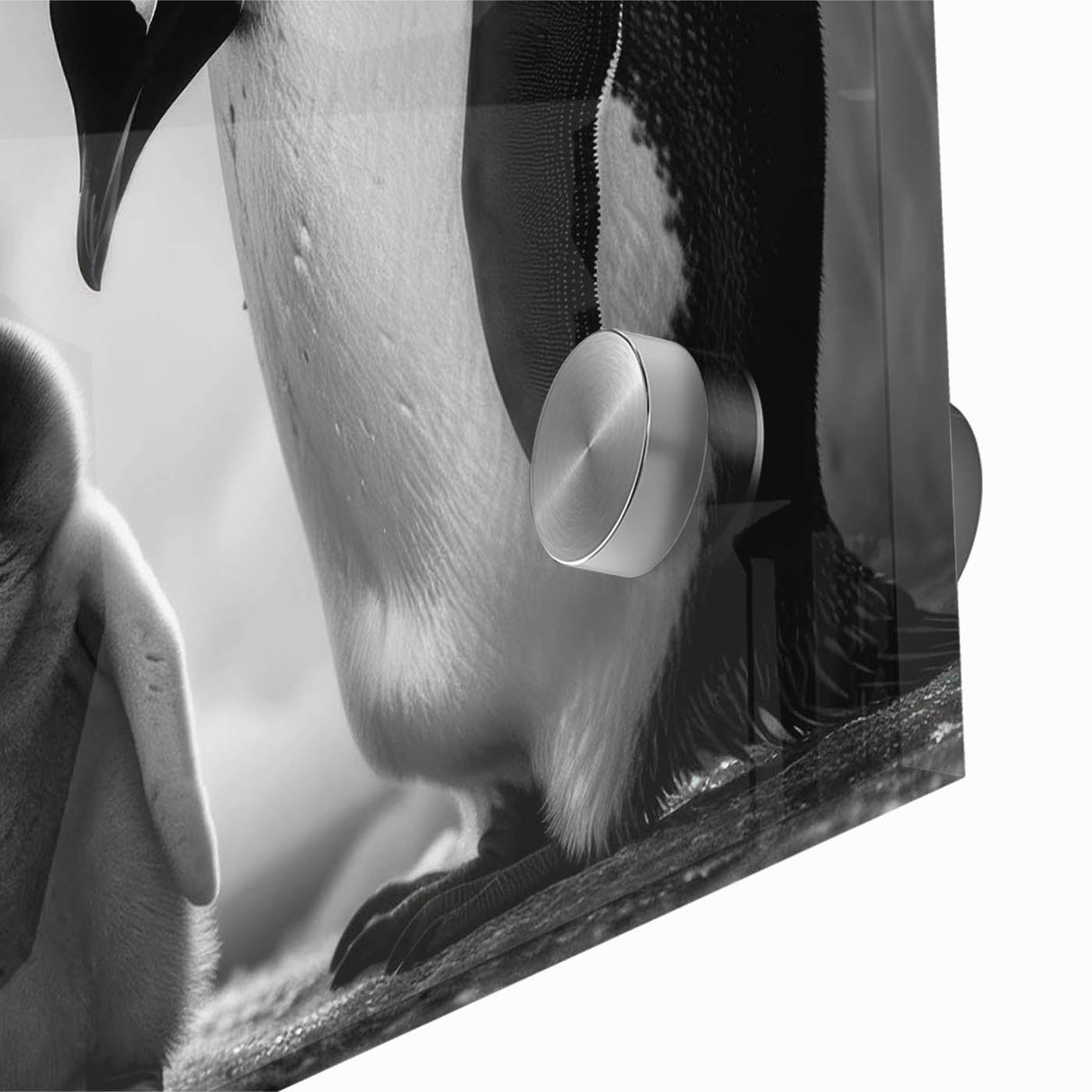 Close-up of a vibrant penguin-themed wall art design, featuring intricate details and vivid colors on acrylic glass, perfect for animal lovers' decor.