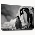 Acrylic glass wall art showcasing a side view of a whimsical penguin design, featuring vibrant colors and intricate details, perfect for animal-themed decor. Ideal for modern interiors, this piece adds a playful touch to any living space.