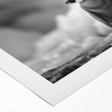 Penguin wall art design on rolled canvas showcasing vibrant colors and intricate details, perfect for animal lovers seeking unique home decor.