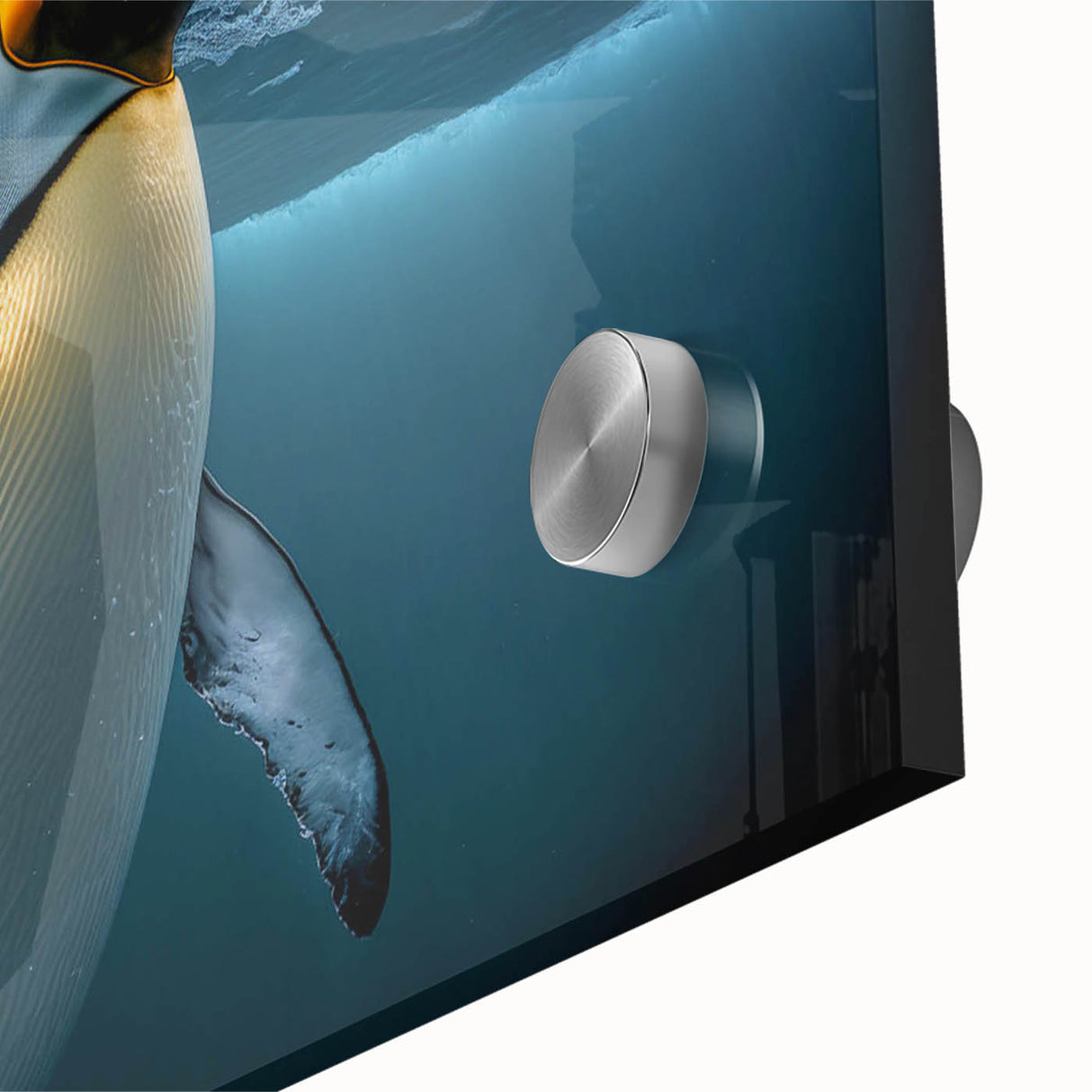 Close-up of a vibrant penguin wall art piece featuring a striking acrylic glass design, showcasing intricate details and colors that enhance any wildlife-themed decor.
