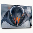 Acrylic glass wall art collection featuring a side view of a penguin design, elegantly displayed with pins, ideal for animal-themed decor. Perfect for wildlife lovers.