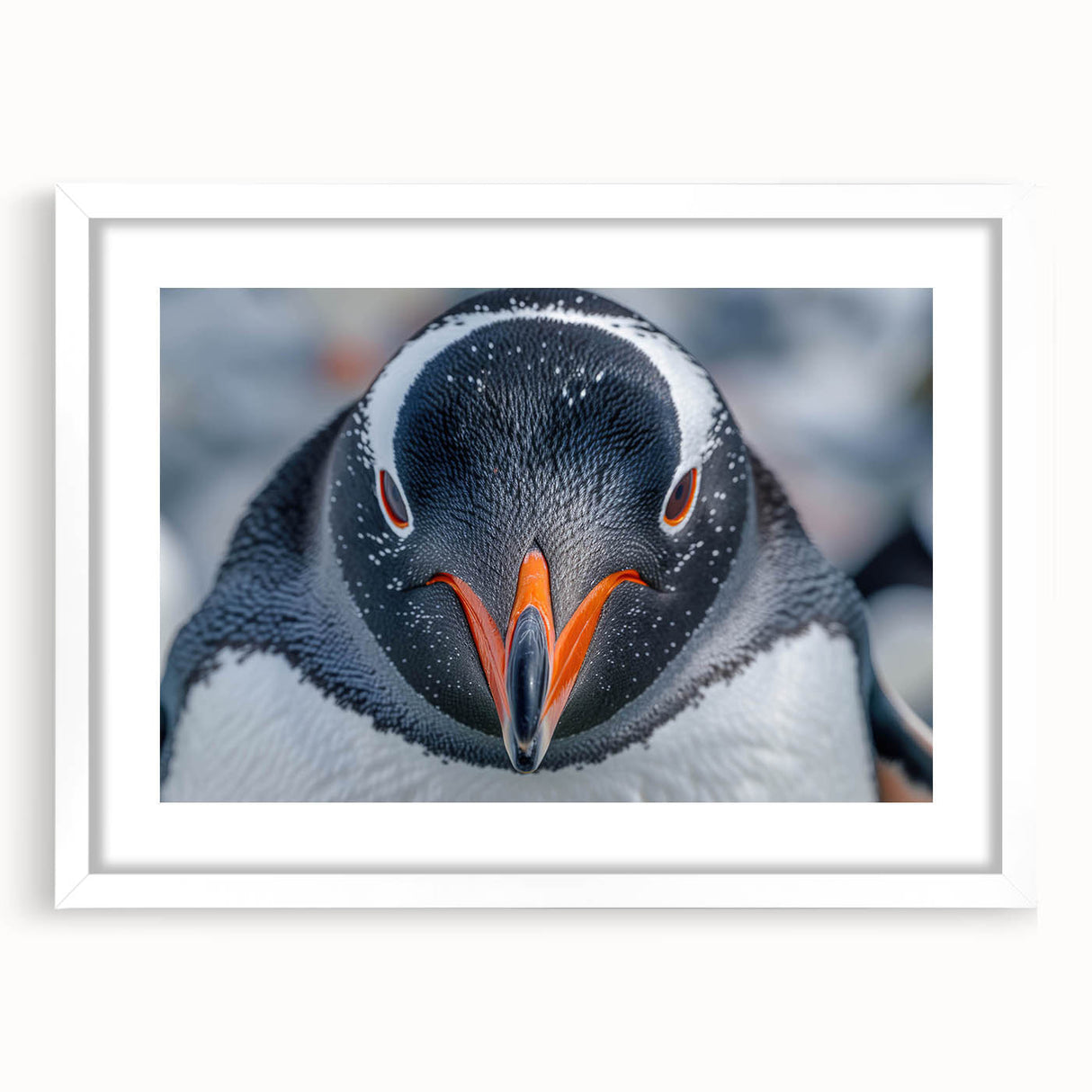 Framed wall art collection featuring a vibrant penguin design on a white mat, ideal for animal lovers and modern decor, showcased in a sleek front view.
