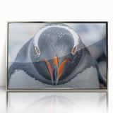 Framed acrylic wall art featuring a stylish silver-front view design of a penguin, showcasing wildlife elegance for modern home decor. Perfect for animal lovers.