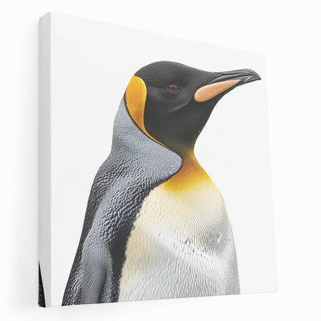 Stretched canvas wall art showcasing a vibrant penguin design, featuring detailed textures and colors, ideal for animal lovers and modern decor enthusiasts.