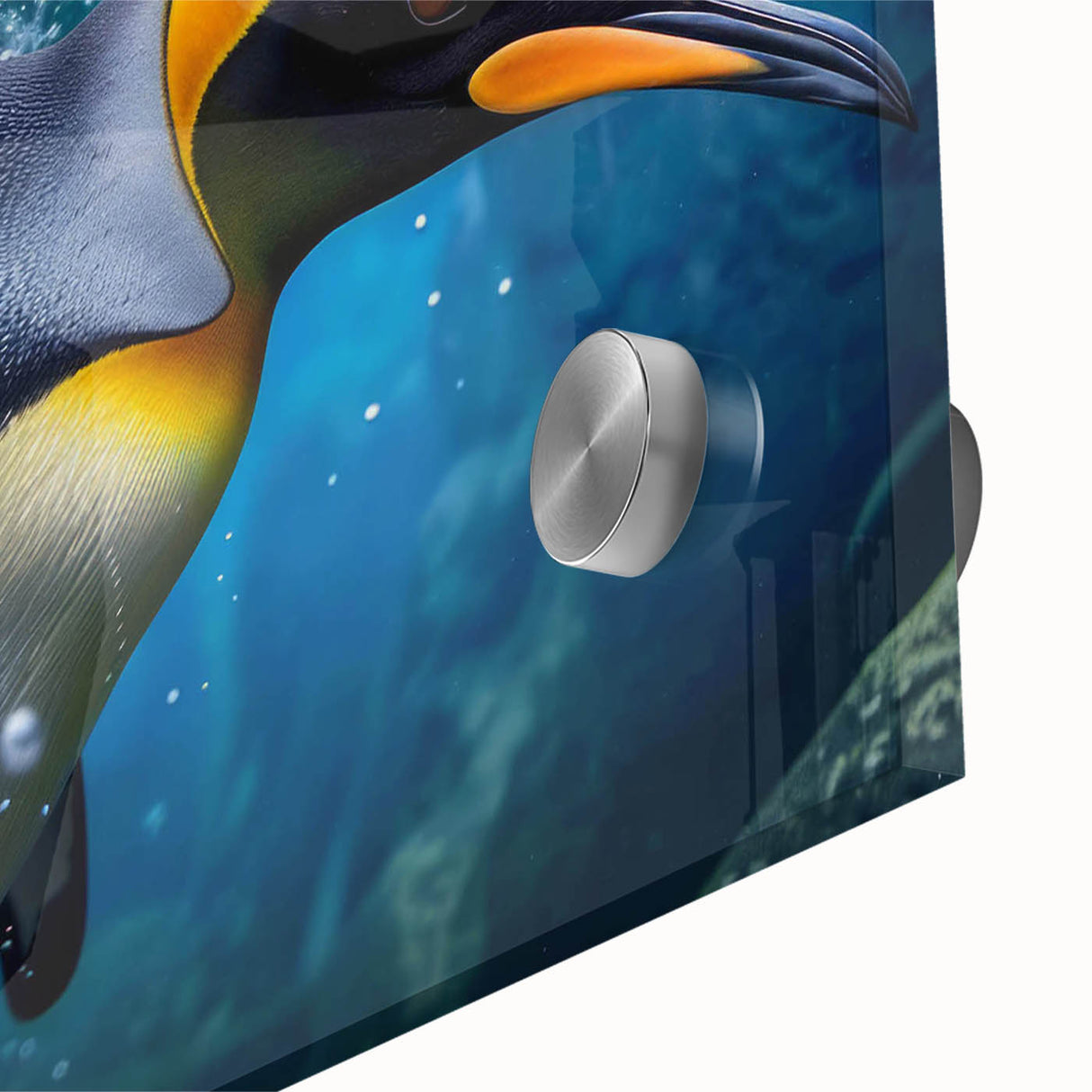 Close-up of a vibrant penguin design wall art piece, showcasing intricate details in acrylic glass, ideal for animal lovers and modern home decor enthusiasts.