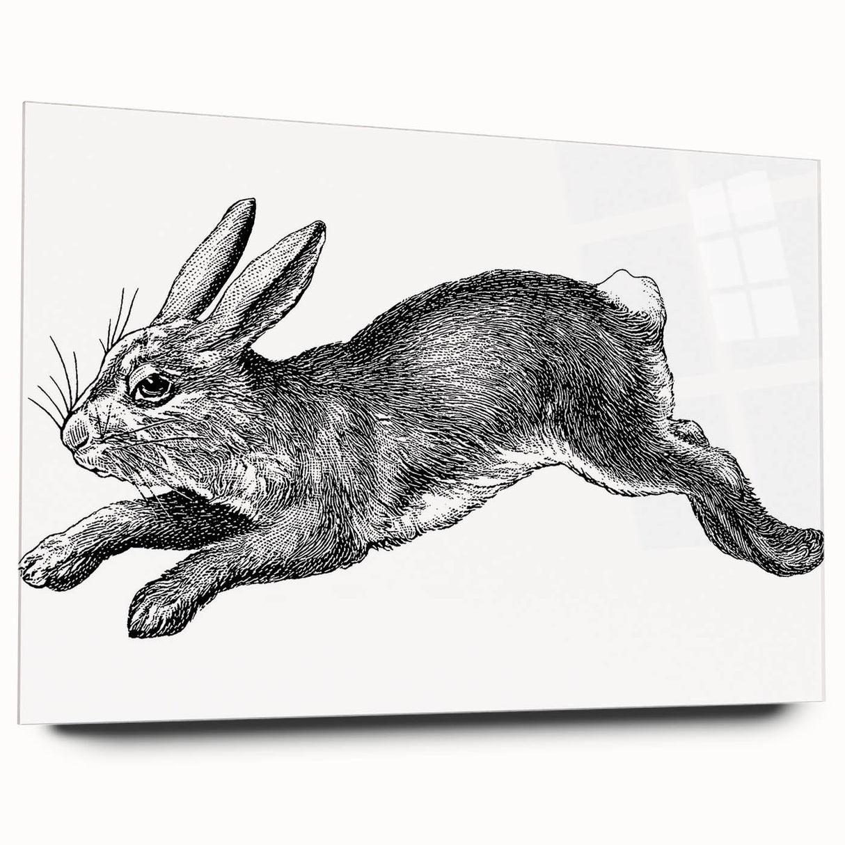 Acrylic wall art featuring a whimsical rabbit design from the Animals A Wild Life collection, showcasing vibrant colors and a sleek side view without pins, perfect for modern decor.