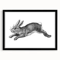 Black-framed wall art featuring a whimsical rabbit design, elegantly matted, suitable for home decor. Ideal for animal lovers and contemporary interiors.