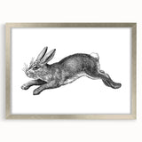 Framed wall art featuring a charming rabbit design in a sleek silver frame, complete with a white mat, perfect for adding a whimsical touch to any room's decor.