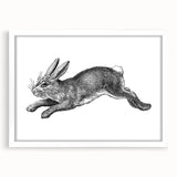 Framed wall art featuring a charming rabbit design from the "Animals A Wild Life" collection, set against a white mat, perfect for adding a whimsical touch to any room.