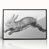 Framed acrylic wall art featuring a detailed black rabbit design, ideal for animal lovers. The sleek black frame enhances the elegant look of this wildlife-inspired piece.