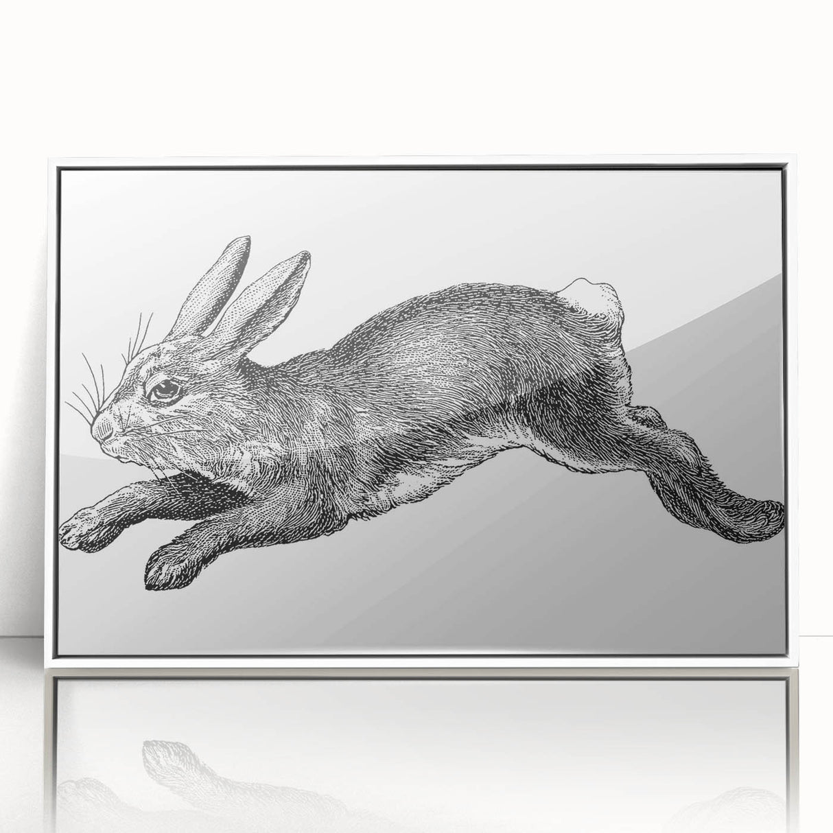 Framed wall art featuring a detailed illustration of a rabbit design from the 'Animals A Wild Life' collection, showcased with a sleek white frame and acrylic front for a modern look. Ideal for animal lovers and contemporary decor enthusiasts.