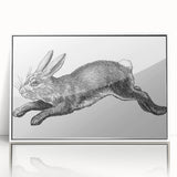 Framed wall art featuring a detailed illustration of a rabbit design from the 'Animals A Wild Life' collection, showcased with a sleek white frame and acrylic front for a modern look. Ideal for animal lovers and contemporary decor enthusiasts.
