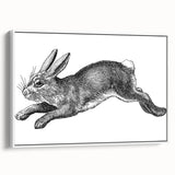 Framed canvas wall art featuring a whimsical rabbit design in a white frame, showcasing vibrant colors and detailed textures, perfect for animal lovers' decor.
