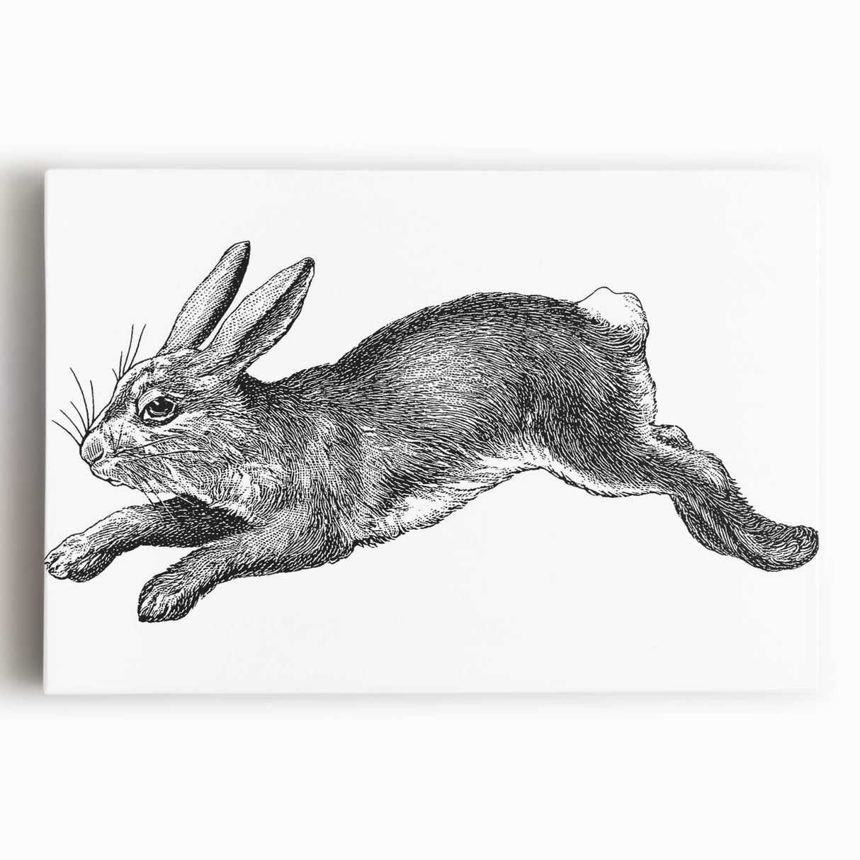 Stretched canvas wall art featuring a whimsical rabbit design in vibrant colors, perfect for animal lovers and children's decor. Ideal for adding a playful touch to any space.