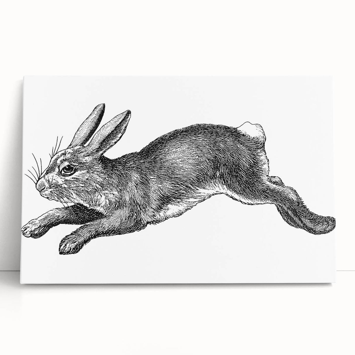Stretched canvas wall art featuring a whimsical rabbit design from the "Animals A Wild Life" collection, showcasing vibrant colors and playful details, perfect for children's rooms or animal lovers. Ideal for home decor and enhancing playful spaces.