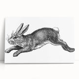 Stretched canvas wall art featuring a whimsical rabbit design from the "Animals A Wild Life" collection, showcasing vibrant colors and playful details, perfect for children's rooms or animal lovers. Ideal for home decor and enhancing playful spaces.
