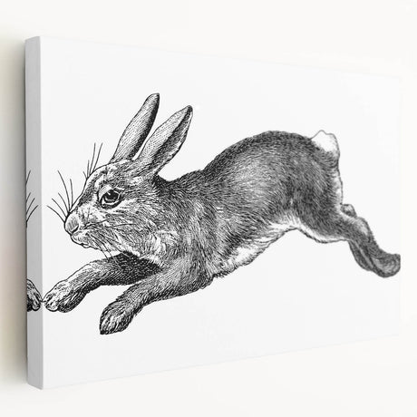 Stretched canvas artwork featuring a vibrant rabbit design from the "Animals - A Wild Life" collection, showcasing detailed colors and textures, ideal for nature-themed decor.