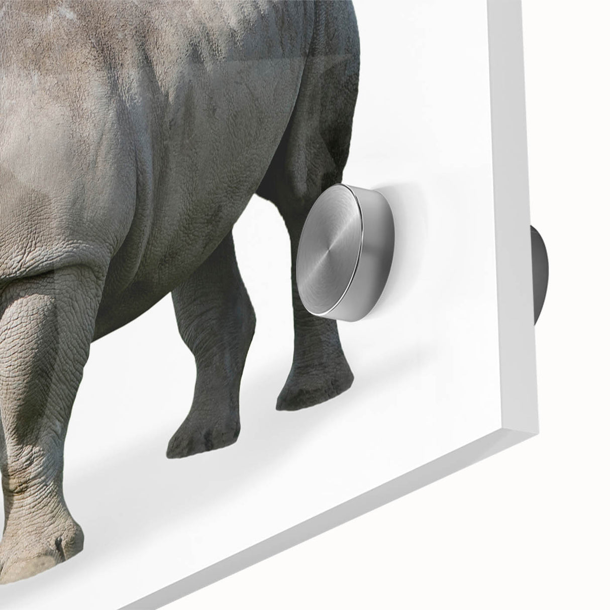 Close-up of a striking rhinoceros wall art design on acrylic glass, showcasing intricate details and vibrant colors, perfect for wildlife enthusiasts and modern decor.