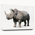 Side view of a rhinoceros wall art design showcased on acrylic glass, featuring intricate details and vibrant colors, perfect for wildlife enthusiasts and home decor.