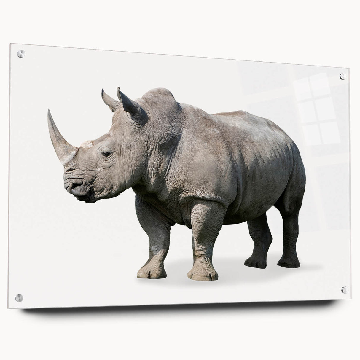 Side view of a rhinoceros wall art design showcased on acrylic glass, featuring intricate details and vibrant colors, perfect for wildlife enthusiasts and home decor.