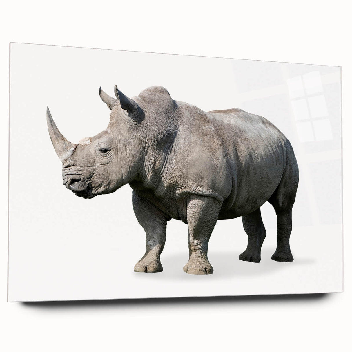 Side view of a striking acrylic wall art piece featuring a detailed rhinoceros design, showcasing vibrant colors and intricate textures, perfect for wildlife enthusiasts.
