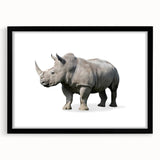 Rhinoceros wall art design framed in black with a mat, showcasing intricate details of wildlife, perfect for nature-themed decor or animal lovers.