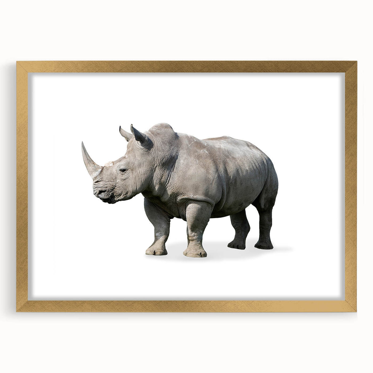 Rhinoceros wall art design in a gold frame, showcasing intricate details and a mat finish, perfect for adding a touch of wildlife elegance to home decor.