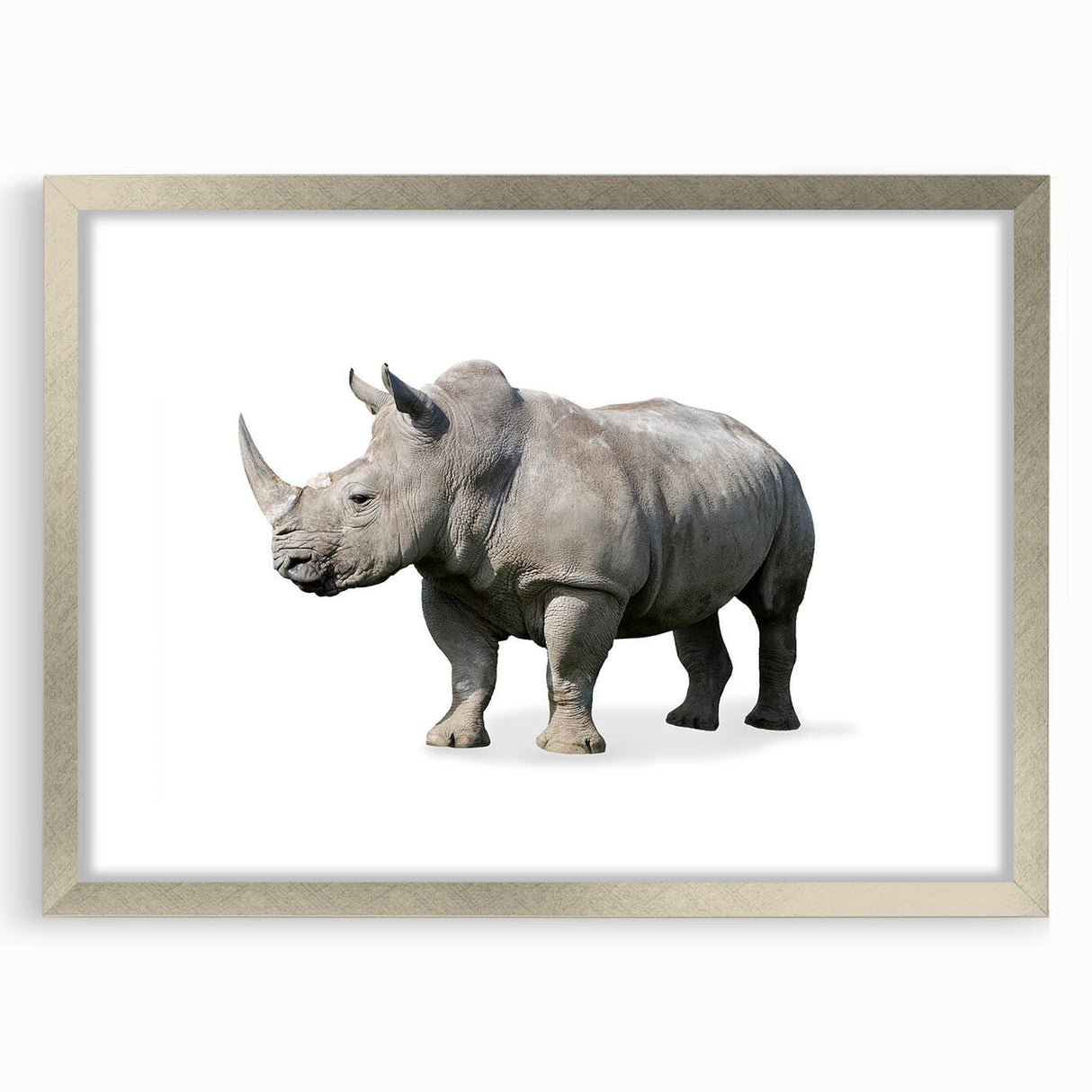 Rhinoceros wall art design showcasing a detailed silver frame and mat, perfect for wildlife enthusiasts, adding elegance to any decor with its striking visual appeal.