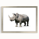 Rhinoceros wall art design showcasing a detailed silver frame and mat, perfect for wildlife enthusiasts, adding elegance to any decor with its striking visual appeal.