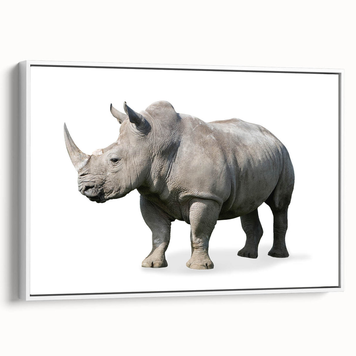 Framed canvas wall art design showcasing a white side view of a rhinoceros, highlighting its detailed features against a minimalistic background, perfect for wildlife enthusiasts.