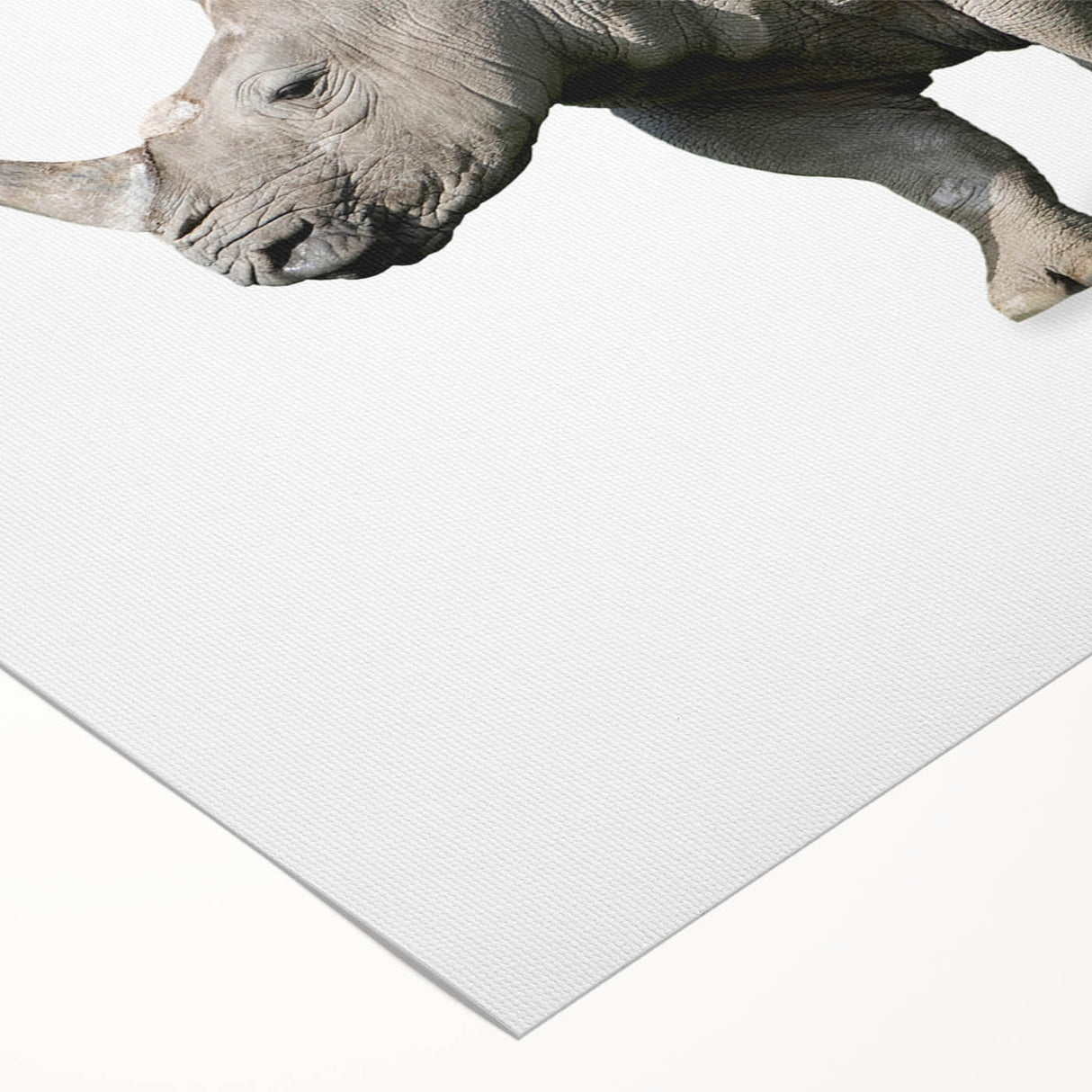 Close-up of a rolled canvas featuring a vibrant rhinoceros design, showcasing detailed brushwork and earthy tones, ideal for wildlife art enthusiasts and decor.