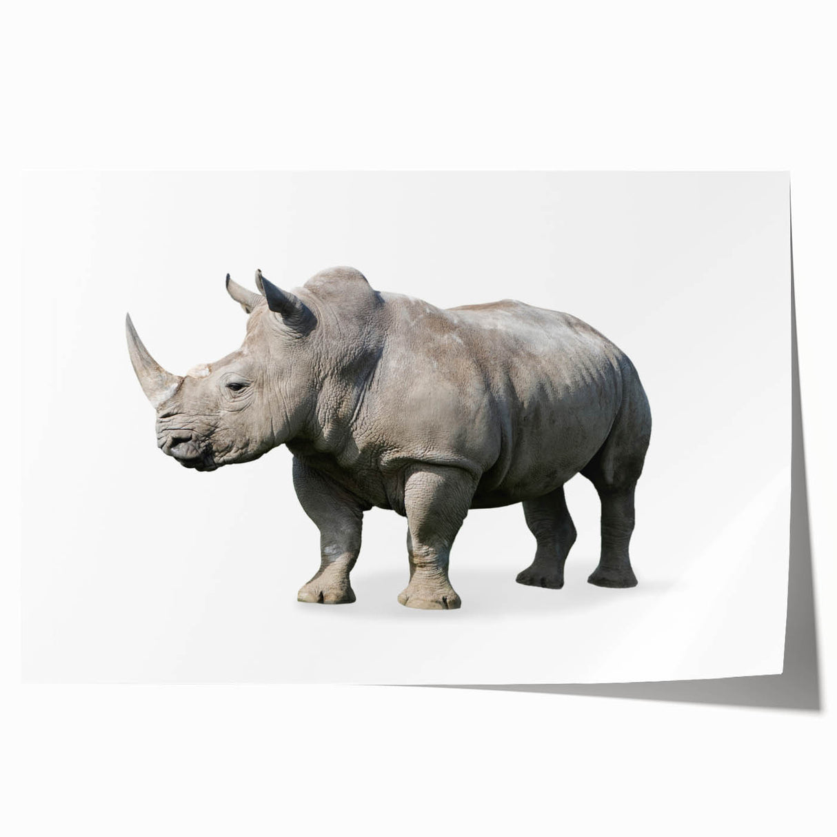 Rhinoceros wall art featuring a vibrant, colorful design showcasing the majestic animal in a natural setting, ideal for wildlife enthusiasts and home decor.