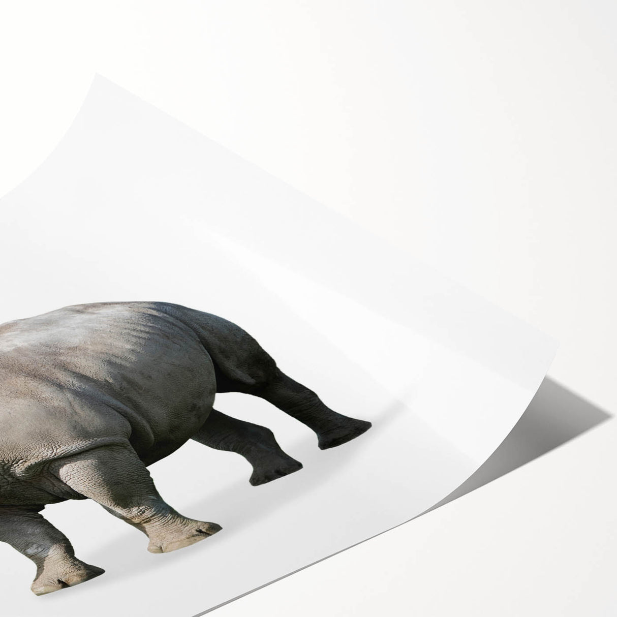 Rhinoceros wall art print showcasing a vibrant, abstract design featuring bold colors and intricate details, perfect for wildlife enthusiasts and home decor.