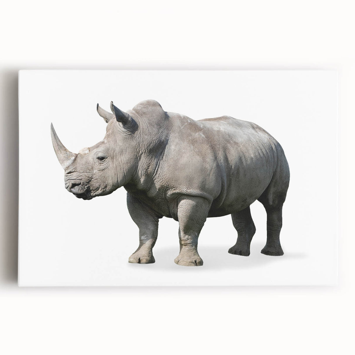 Rhinoceros wall art design on stretched canvas, showcasing a detailed front view of the majestic animal in a vibrant natural setting, perfect for wildlife enthusiasts.