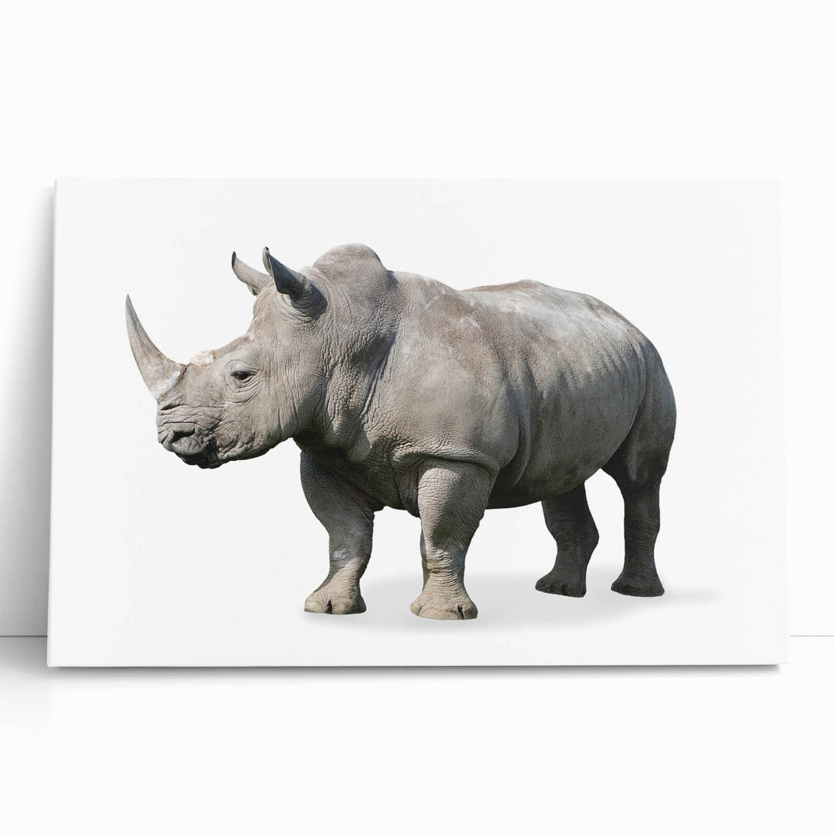 Stretched canvas wall art featuring a striking rhinoceros design in a vibrant color palette, showcasing intricate details and textures, perfect for wildlife enthusiasts.