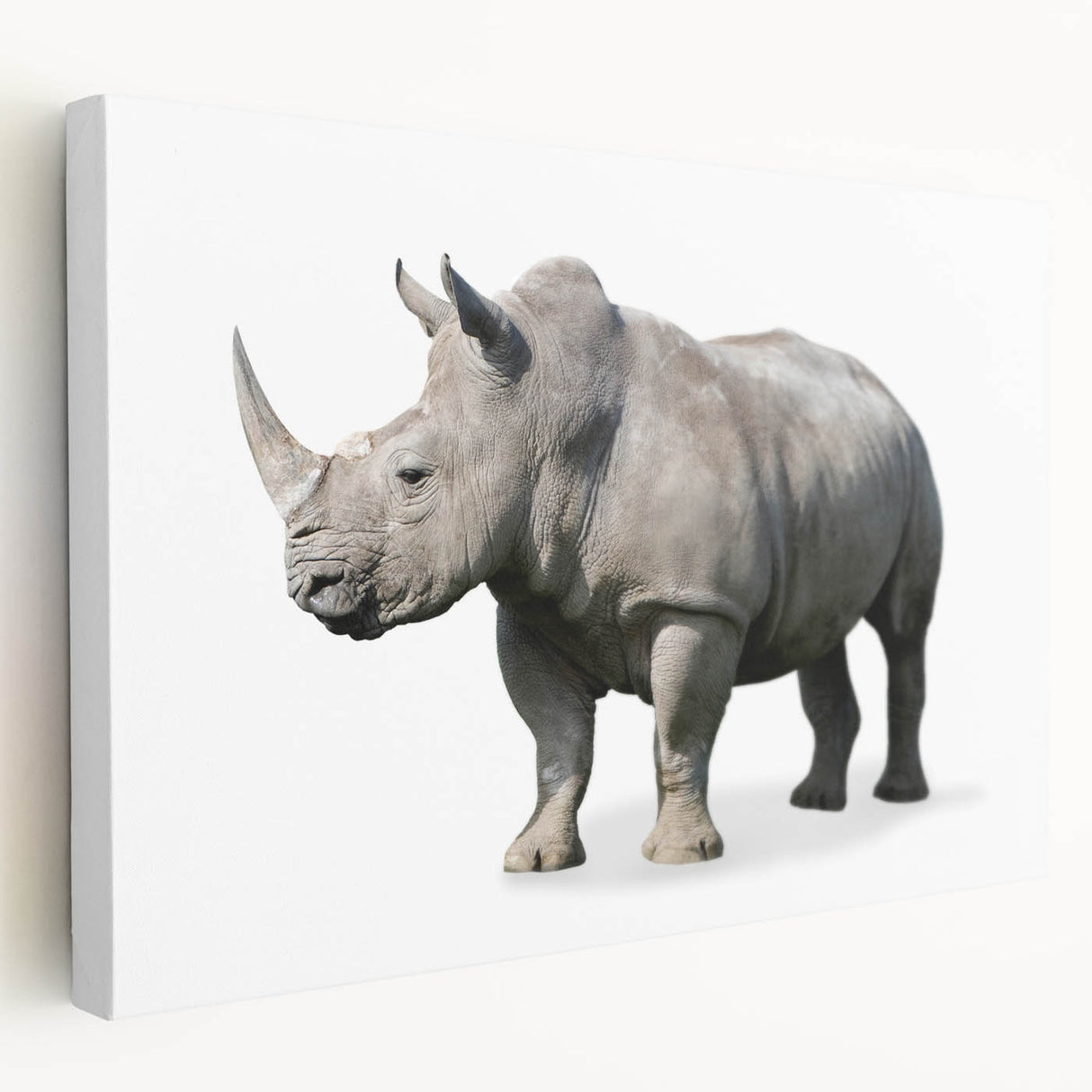 Side view of a detailed rhinoceros wall art design on stretched canvas, showcasing vibrant colors and textures, perfect for wildlife enthusiasts and home decor.