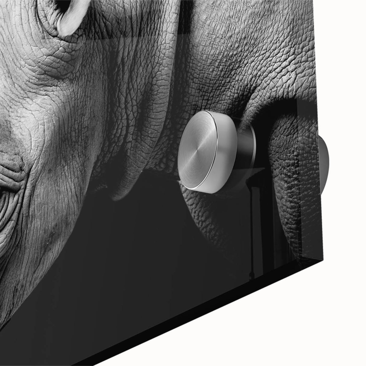 Close-up of a striking rhinoceros design on acrylic glass wall art, showcasing intricate details and vibrant colors, perfect for wildlife enthusiasts' decor.